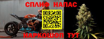 гидра Бузулук