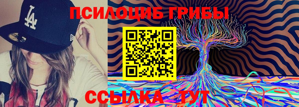 закладка  Вход с VPN  Сыктывкар  Псилоцибиновые грибы Psilocybe 