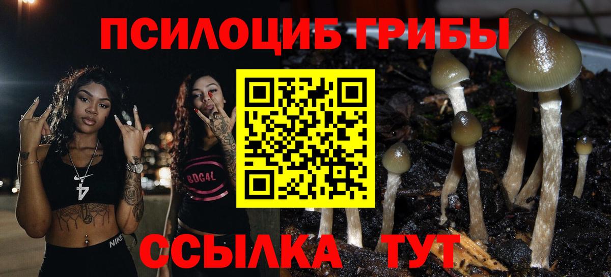Псилоцибиновые грибы мухоморы Сыктывкар